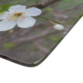 Planche À Découper Le blanc du printemps (Coin)