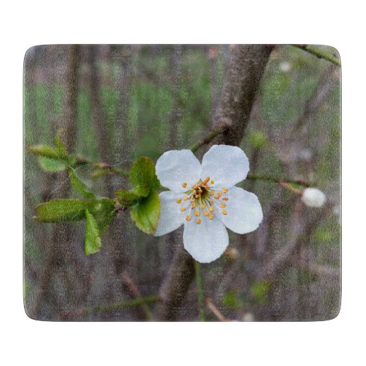 Planche À Découper Le blanc du printemps (Devant)