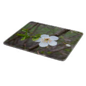Planche À Découper Le blanc du printemps (Coin)