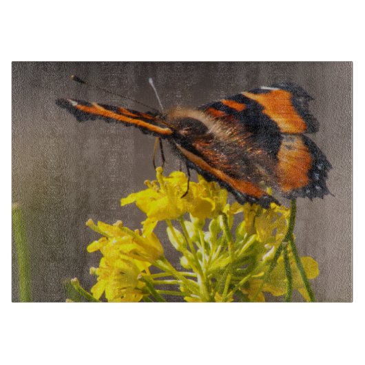Planche À Découper Le papillon Tortoiseshell de Milbert (Devant)