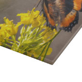 Planche À Découper Le papillon Tortoiseshell de Milbert (Coin)