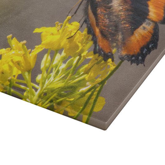 Planche À Découper Le papillon Tortoiseshell de Milbert (Coin)