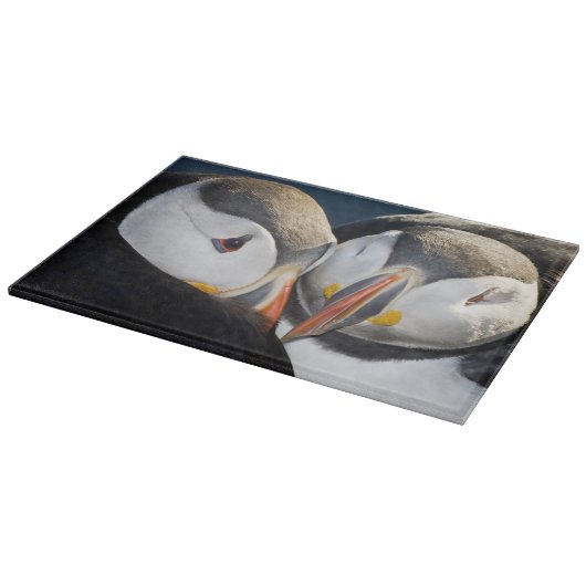 Planche À Découper Le Puffin Atlantique, un oiseau marin pélagique (Coin)