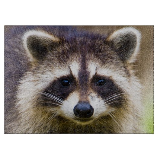 Planche À Découper Le raton laveur Procyon (Devant)