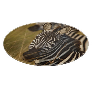 Planche À Découper Le zèbre de Burchell dans l'herbe grande d'été,