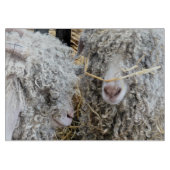 PLANCHE À DÉCOUPER LES CHÈTES FRAÎCHES (Devant)