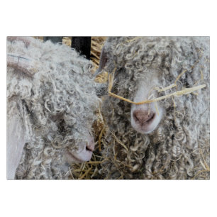 PLANCHE À DÉCOUPER LES CHÈTES FRAÎCHES