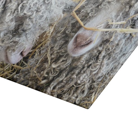 PLANCHE À DÉCOUPER LES CHÈTES FRAÎCHES (Coin)