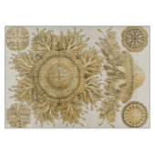 Planche À Découper Les créatures de la mer d'or (Devant)