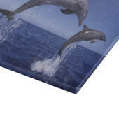 Planche À Découper Les dauphins des Caraïbes (Coin)