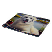 Planche À Découper Les Pyrénées sur une pagaie : une aventure Pittore (Coin)