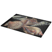 Planche À Découper Les trésors de la mer (Coin)