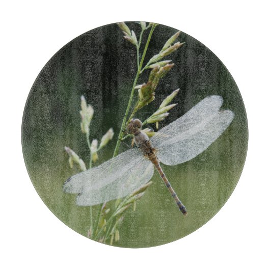 Planche À Découper Libellule Darner couverte de rosée (Devant)