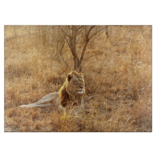 Planche À Découper Lion (Devant)