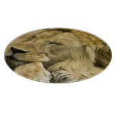 Planche À Découper Lion d'Afrique, Lion panthère, endormi (Coin)
