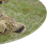 Planche À Découper Lionceau Jouant (Coin)