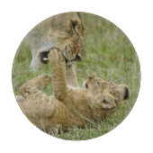 Planche À Découper Lionceau Jouant (Devant)