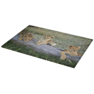 Planche À Découper Lionceaux sur rondin