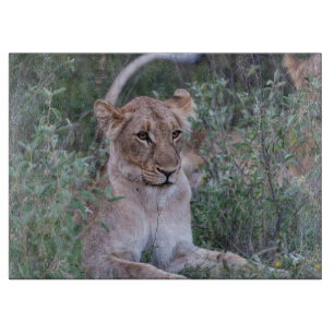 Planche À Découper Lionne Puissante – Moment de Faune