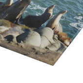 Planche À Découper Lions de la mer de San Diego (Coin)