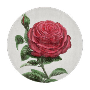 Planche À Découper Lithographie de rose antique, François-Frédéric Gr