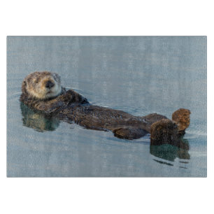 Planche À Découper Loutre de mer flottant sur le dos dans l'océan