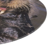 Planche À Découper Loutres de mer, Enhydra lutris 6 (Coin)