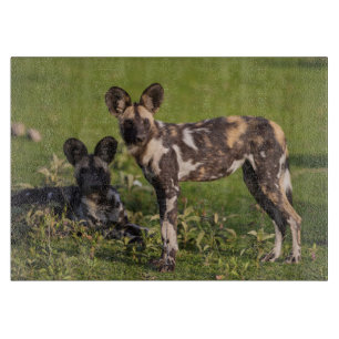Planche À Découper Lycaons en Tanzanie