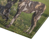 Planche À Découper Lycaons en Tanzanie (Coin)