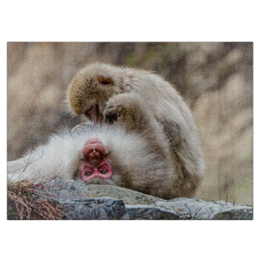 Planche À Découper Macque Monkey, photo japonaise de singe (Devant)