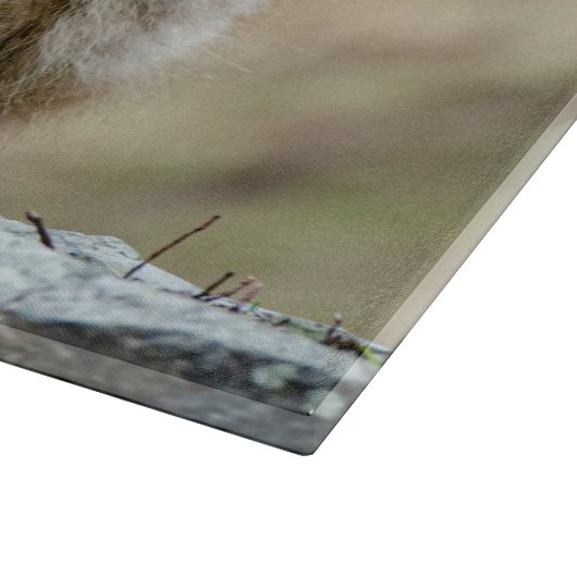 Planche À Découper Macque Monkey, photo japonaise de singe (Coin)