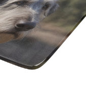 Planche À Découper "Majesté sans impression : le regard stoïque des W (Coin)