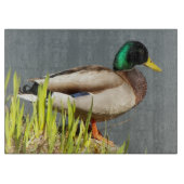 Planche À Découper Mallard Duck Faune Large (Devant)