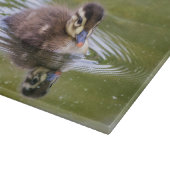 Planche À Découper Mallard Duckling (Coin)