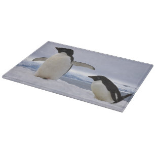 Planche À Découper Manchots Adélie Antarctique