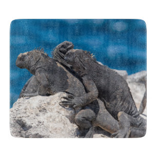 Planche À Découper Marine Iguana