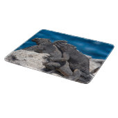 Planche À Découper Marine Iguana (Coin)