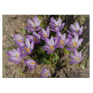 Planche À Découper Mignons crocus de printemps