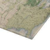 Planche À Découper Mille de 161 Barley/sq (Coin)