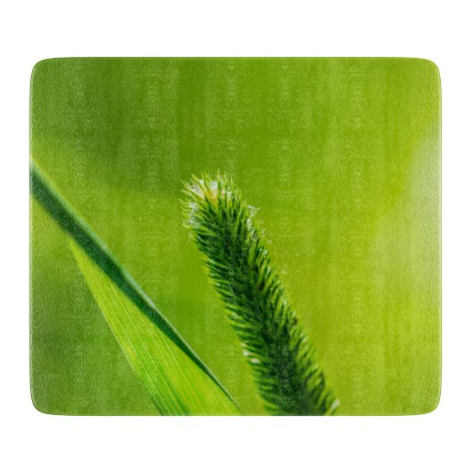 Planche À Découper Monde vert (Devant)