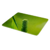 Planche À Découper Monde vert (Coin)