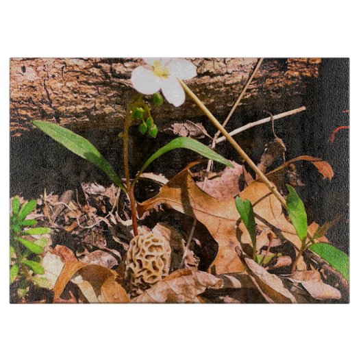 Planche À Découper Morel (Devant)