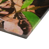 Planche À Découper Morel (Coin)