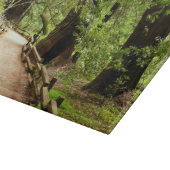 Planche À Découper Muir Woods Path II Nature Photography (Coin)