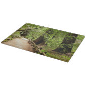 Planche À Découper Muir Woods Path II Nature Photography (Coin)