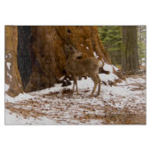 Planche À Découper Mule Deer (Devant)