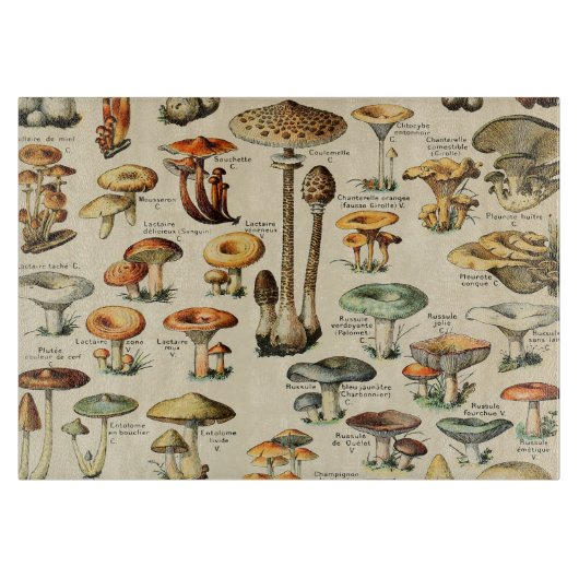 Planche À Découper Mushroom     CollectionTableau de coupe (Devant)