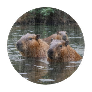 Planche À Découper Nage des capybaras dans la rivière,