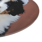 Planche À Découper Noël Bernedoodle (Coin)