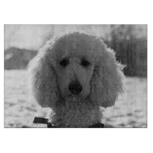 Planche À Découper Noir et blanc Poodé visage Chiot yeux (Devant)